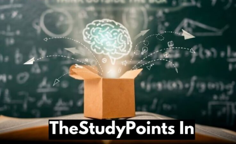 A Complete Guide To TheStudyPoints In The Educational Landscape