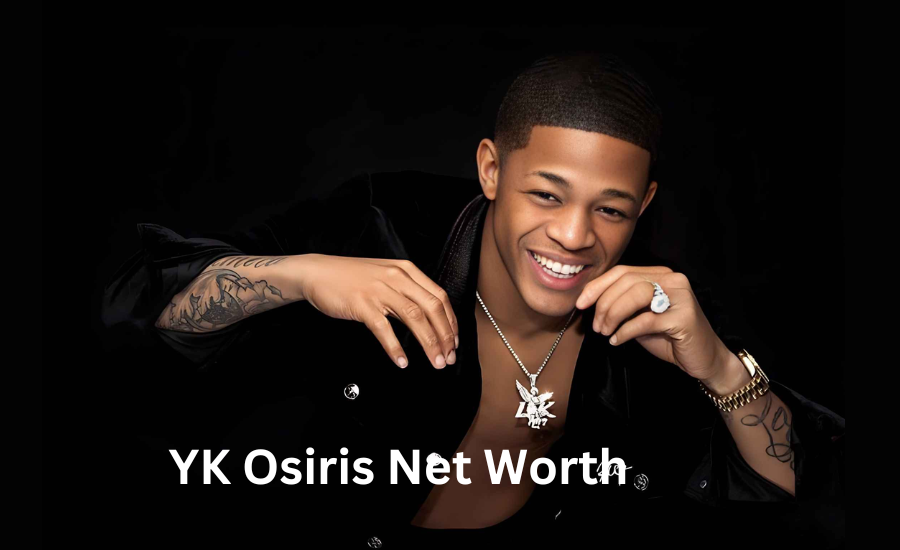 yk osiris net worth