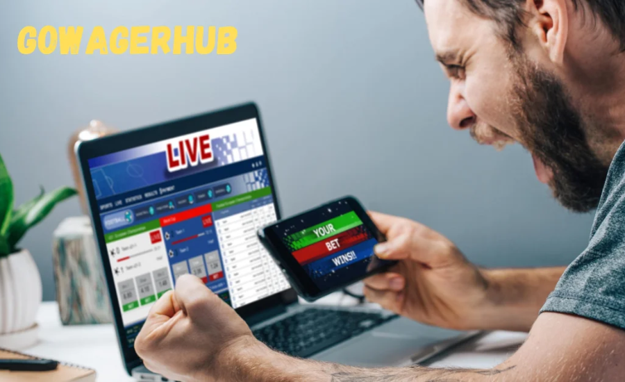 Why Opt For Gowagerhub?