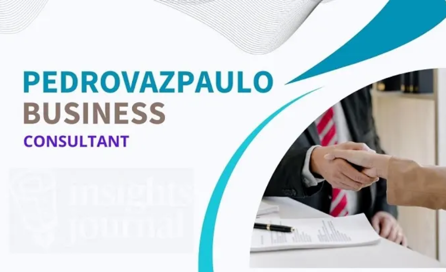 pedrovazpaulo business consultant